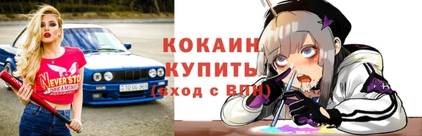 тгк Алексин