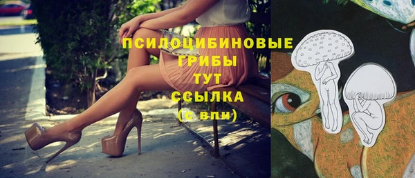 тгк Алексин