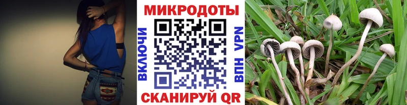 Галлюциногенные грибы Psilocybine cubensis  Ветлуга 